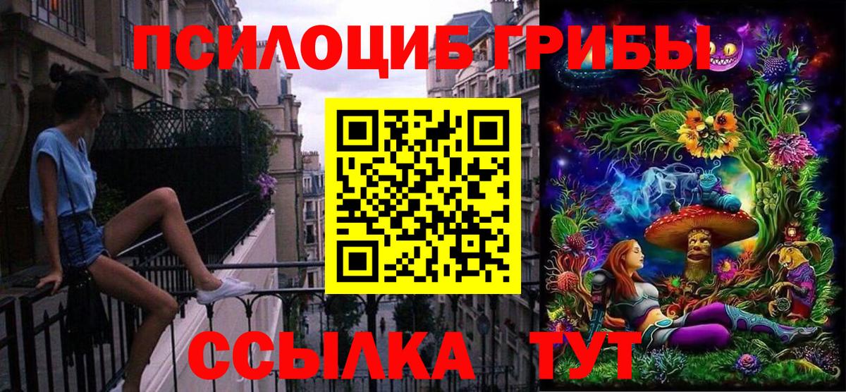 Татарск  Псилоцибиновые грибы мицелий  Вход с VPN 